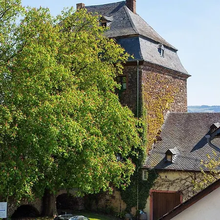 Apartamento Sauvignon Blanc Weingut Zur Burg